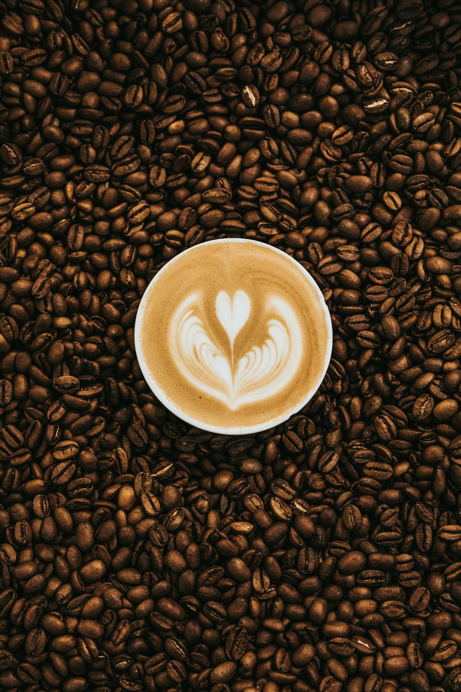 Fem sätt att förbättra din kaffekunskap