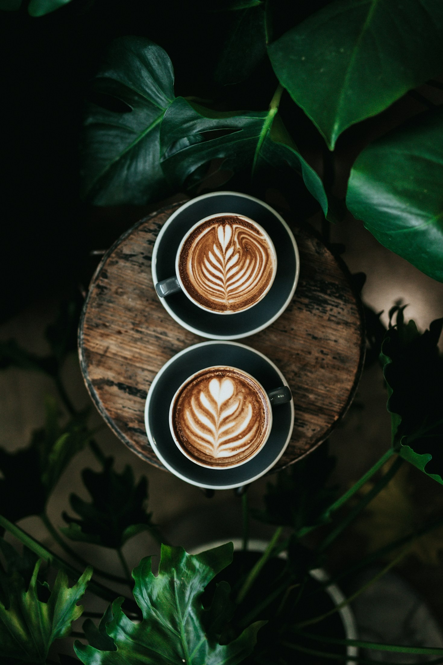 Bäst-i-test: Espressokvarnar för hemmabruk
