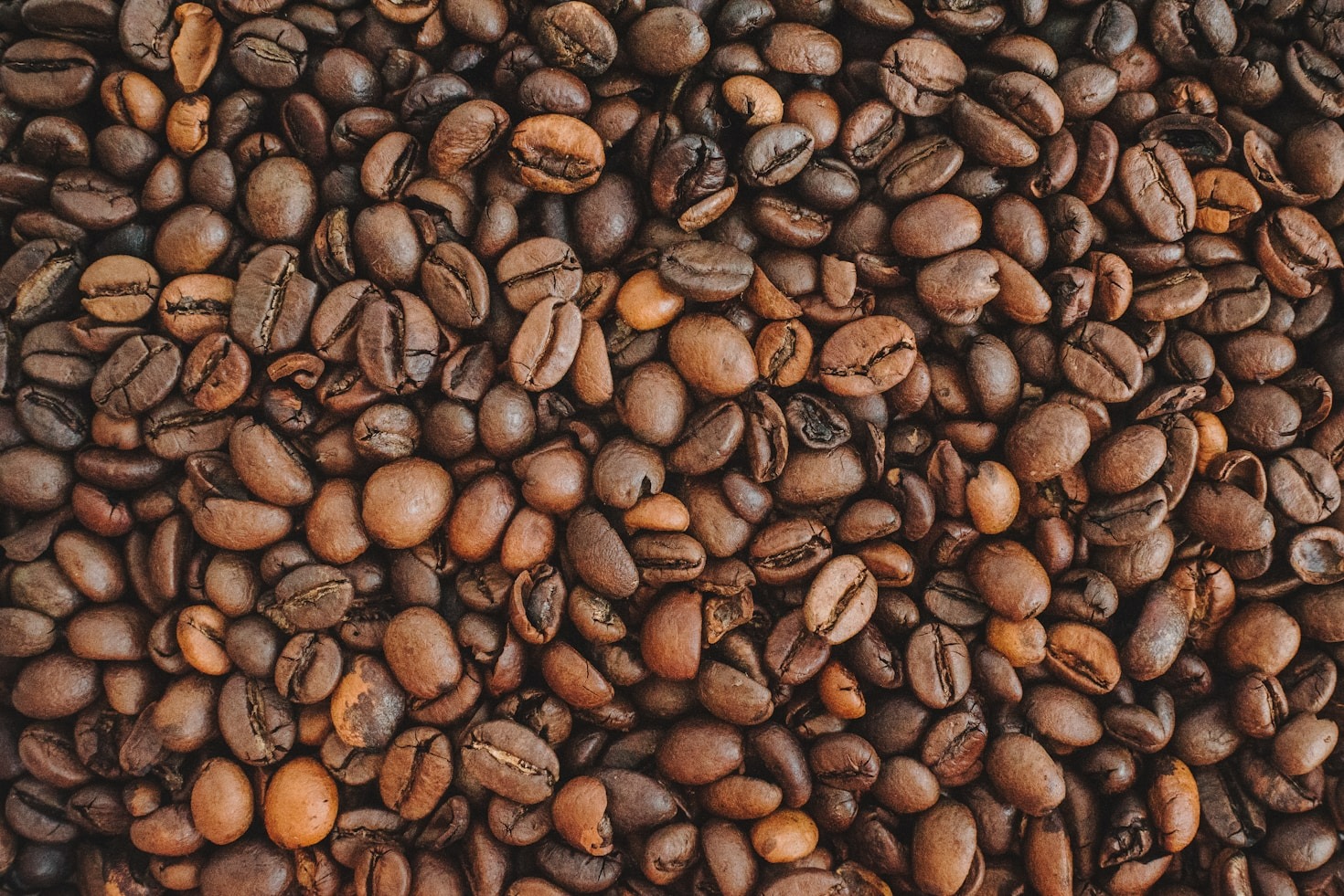 Kaffekultur i Norden: Traditioner och nyheter